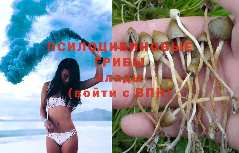 Псилоцибиновые грибы Magic Shrooms  купить наркотики цена  ОМГ ОМГ   Тетюши 